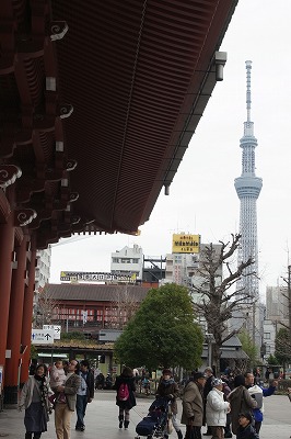 R6251349.jpg