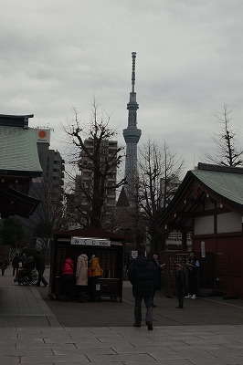R6251354.jpg