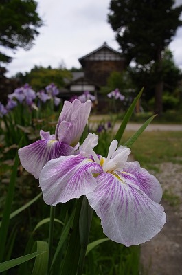 s-R6250583.jpg