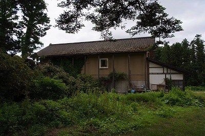 s-R6250600.jpg