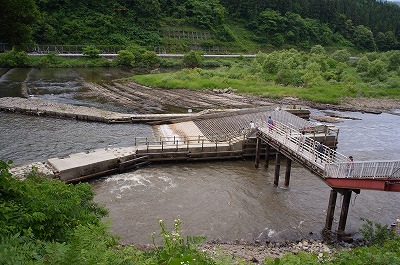 s-R6250612.jpg