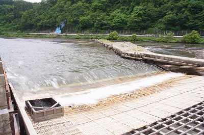 s-R6250616.jpg