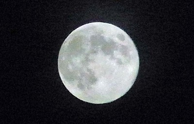s-R6250786cas.jpg