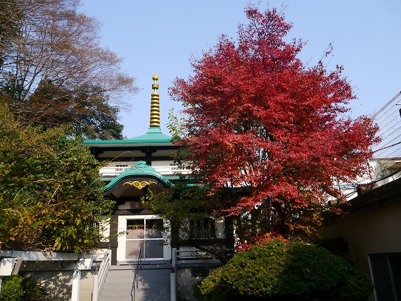 P1090673.jpg