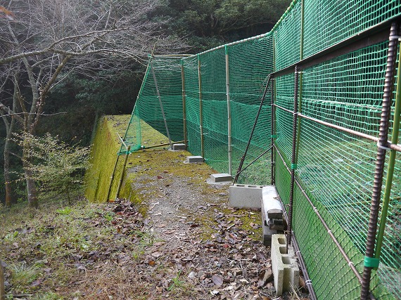 P1090681.jpg
