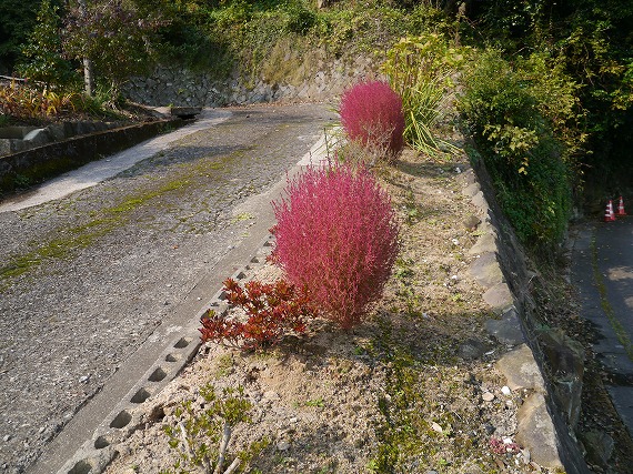 P1090689.jpg