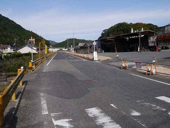 P1090701.jpg