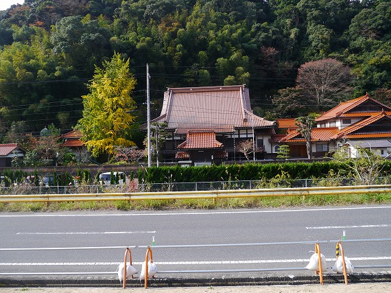 P1090726.jpg