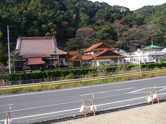 P1090729.jpg