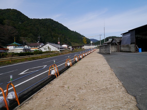 P1090734.jpg