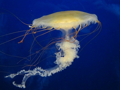 2012092201.jpg