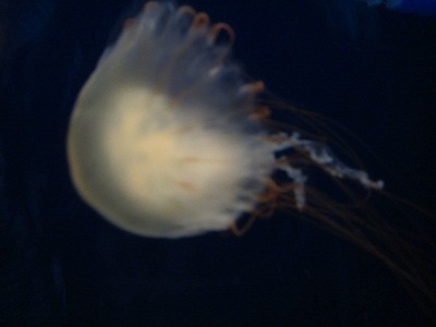 2012092202.jpg