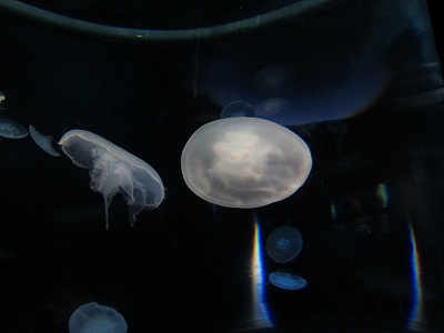 2012092203.jpg