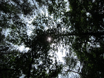 2012092601.jpg