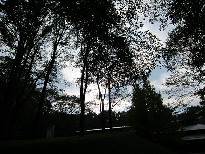 2012092602.jpg