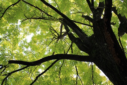 2012092801.jpg