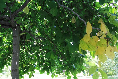 2012092802.jpg