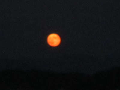 2014031701.jpg