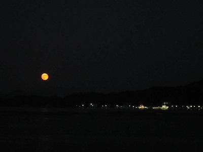 2014031702.jpg