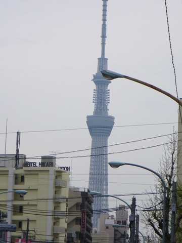 IMGP2638.jpg