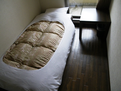IMGP2646.jpg