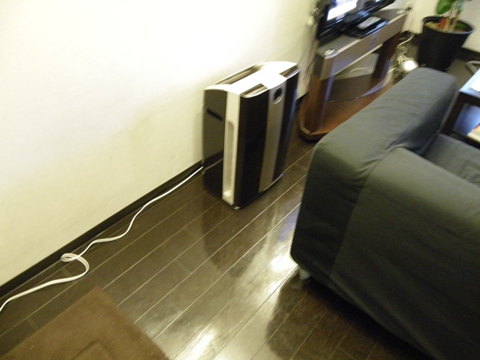 IMGP2678.jpg