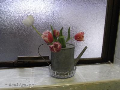 R0017159.jpg