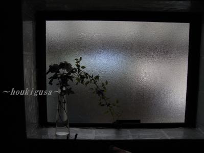 R0017786.jpg