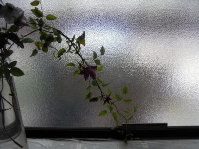 R0017789.jpg