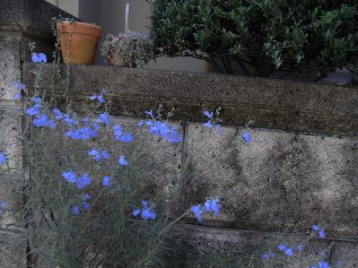 R0018075.jpg