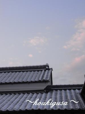 R0018327.jpg