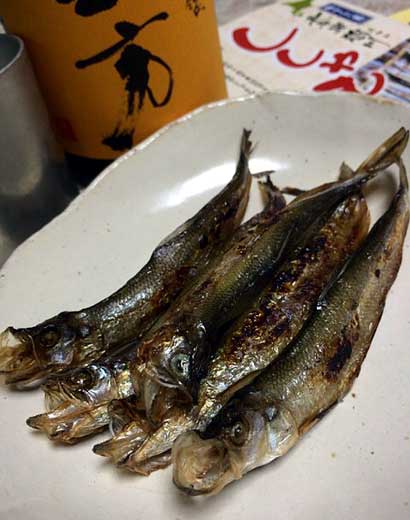 20141101195107.jpg