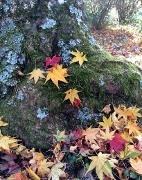 20141123111532.jpg