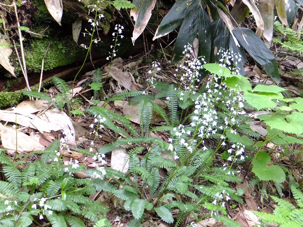 014_20120702211415.jpg