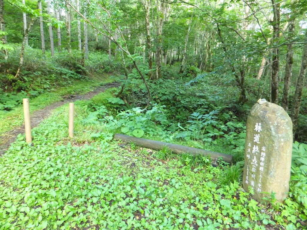 0717001.jpg