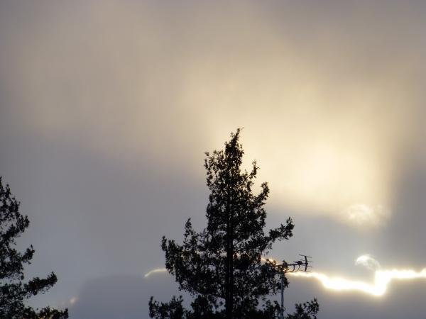 P1000913_convert_20130225181408.jpg