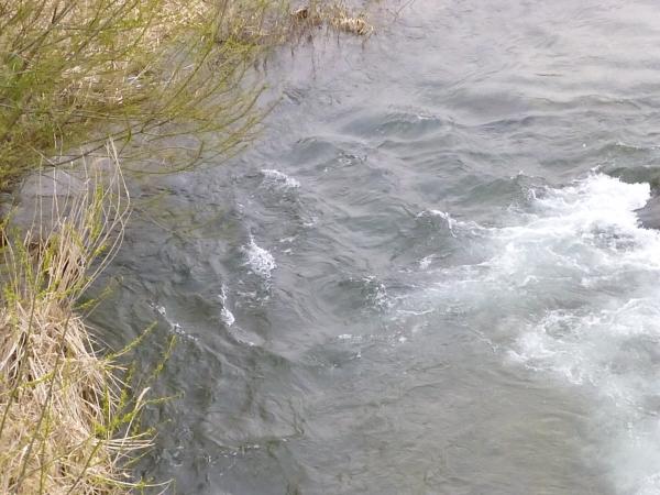 P1020447_convert_20130423183952.jpg