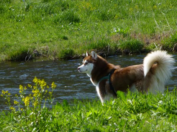 P1020911_convert_20130512182142.jpg