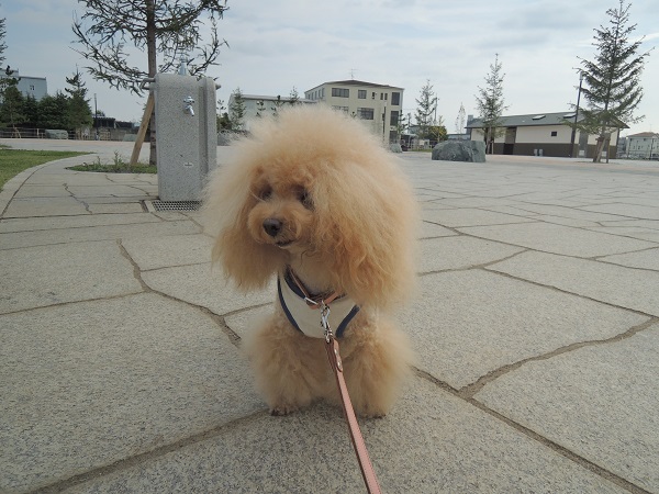 DSCN0081.jpg