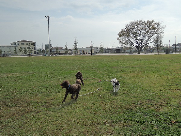 DSCN0091.jpg