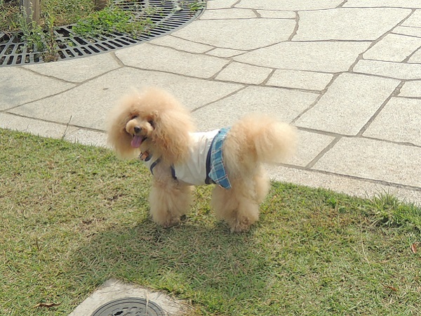 DSCN0103.jpg