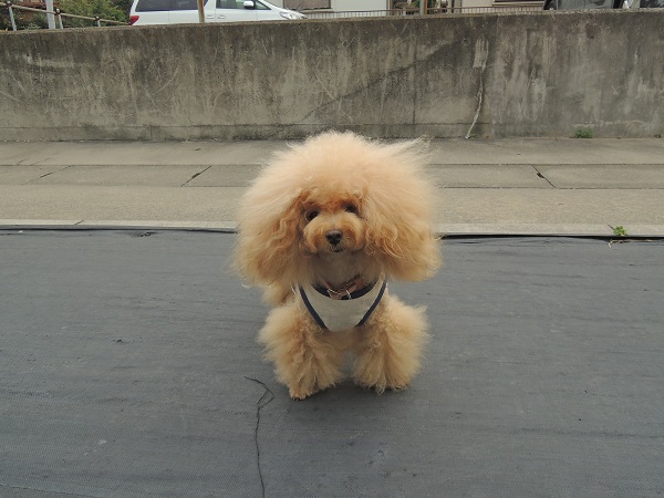 DSCN5155.jpg
