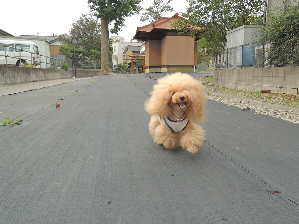 DSCN5158.jpg