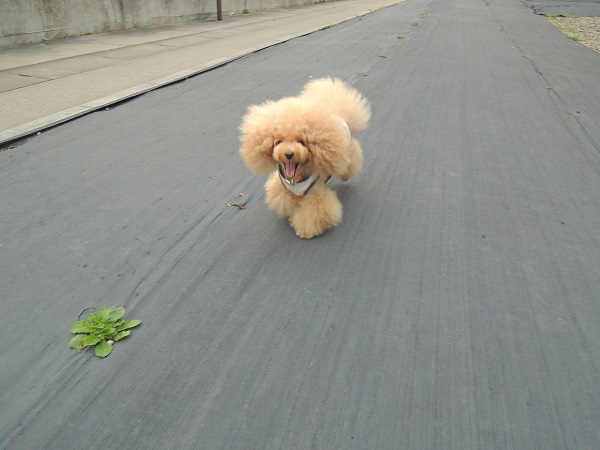 DSCN5161.jpg