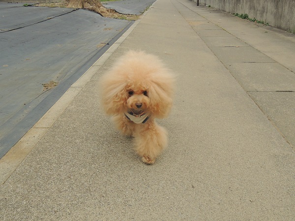 DSCN5164.jpg