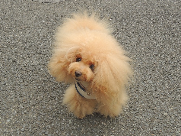 DSCN5182.jpg