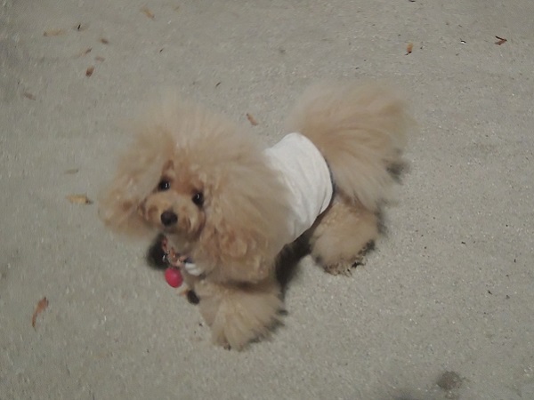 DSCN5191.jpg