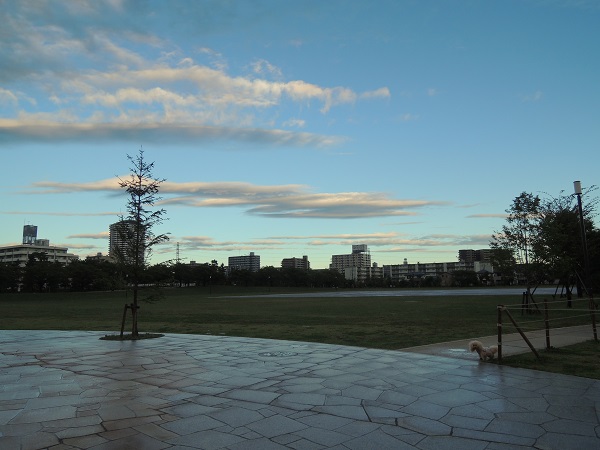 DSCN5215.jpg