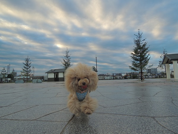 DSCN5218.jpg