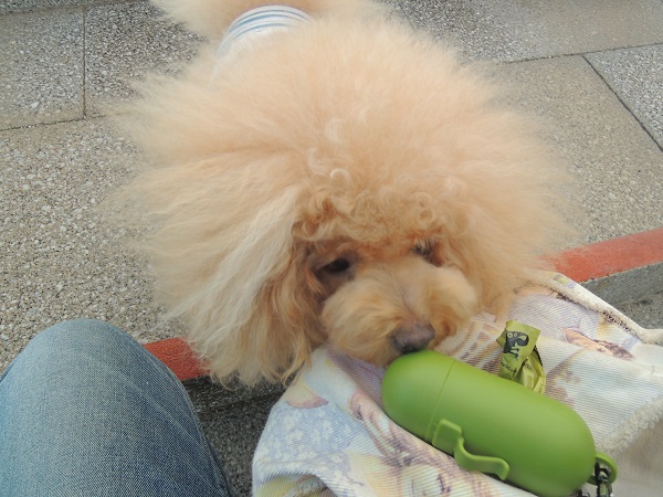 DSCN5228.jpg
